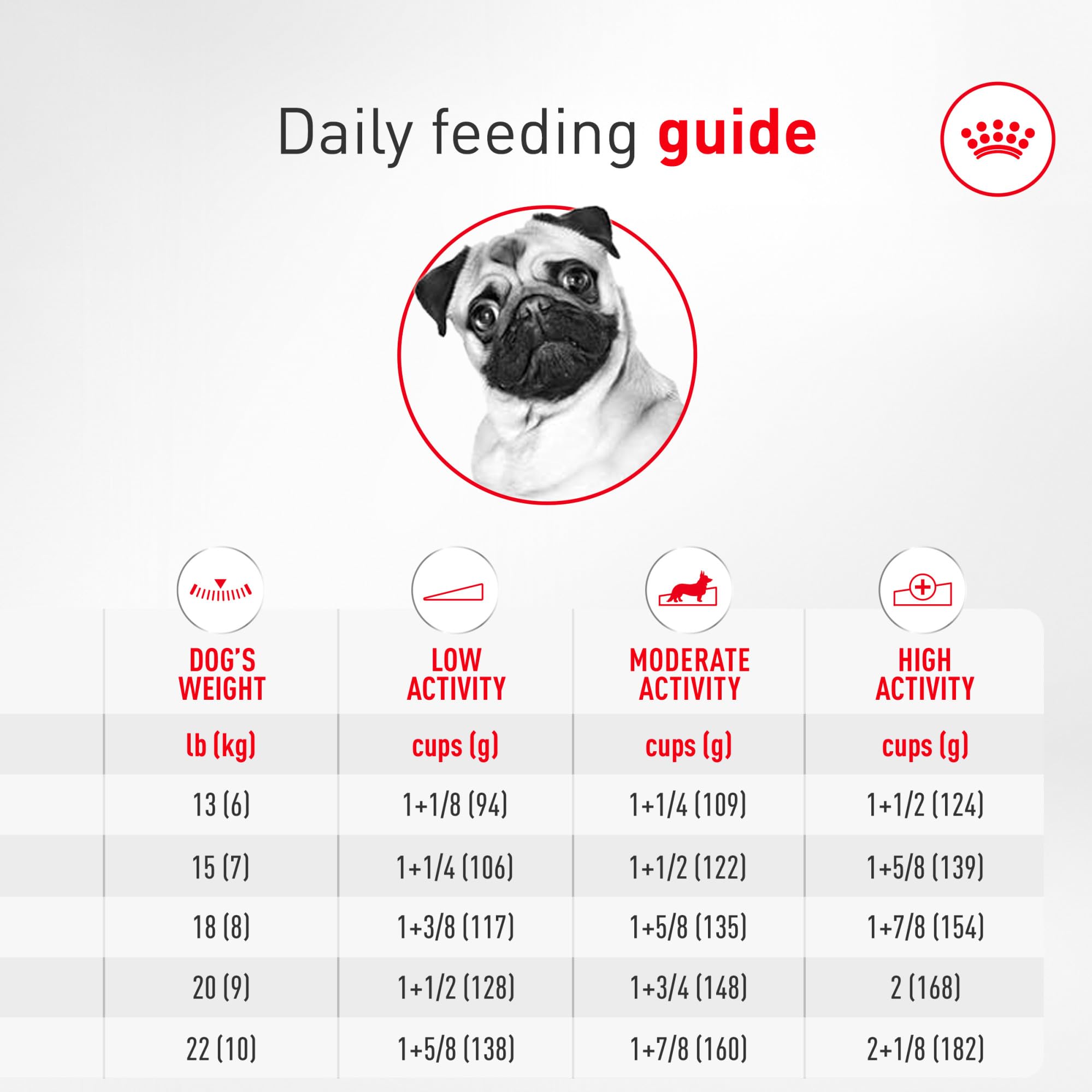 ROYAL CANIN Pug comiendo del bol, forma de croqueta optimiza masticación