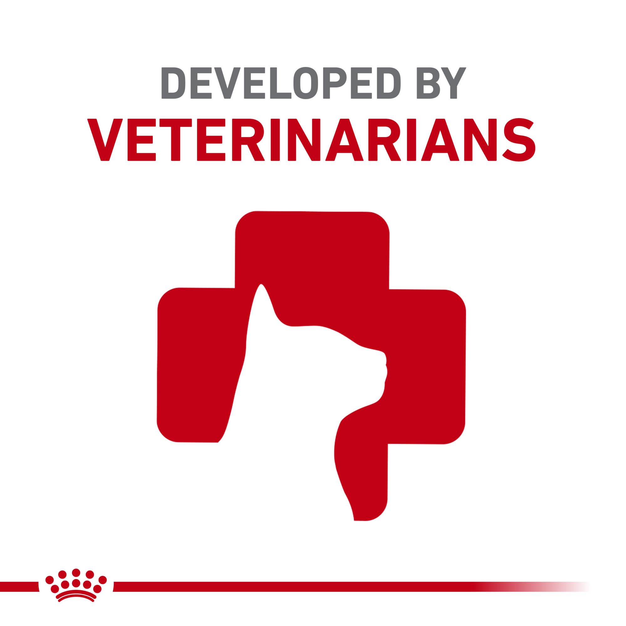 ROYAL CANIN bol con pienso listo para servir y favorecer la salud