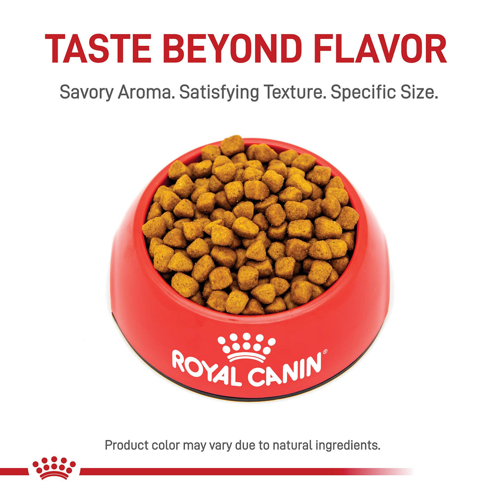 ROYAL CANIN detalle de croqueta piramidal que mejora la masticación