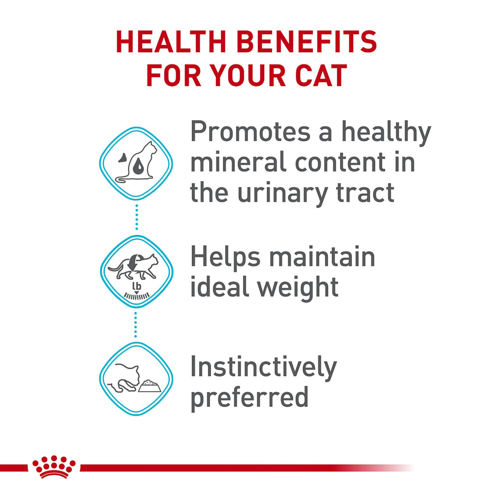 ROYAL CANIN salsa brillante que fomenta hidratación apetecible