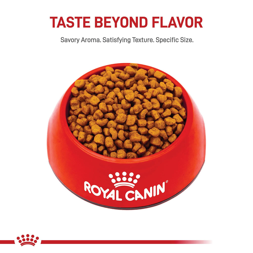 ROYAL CANIN puppy coat detail highlighting nutrients for healthy coat