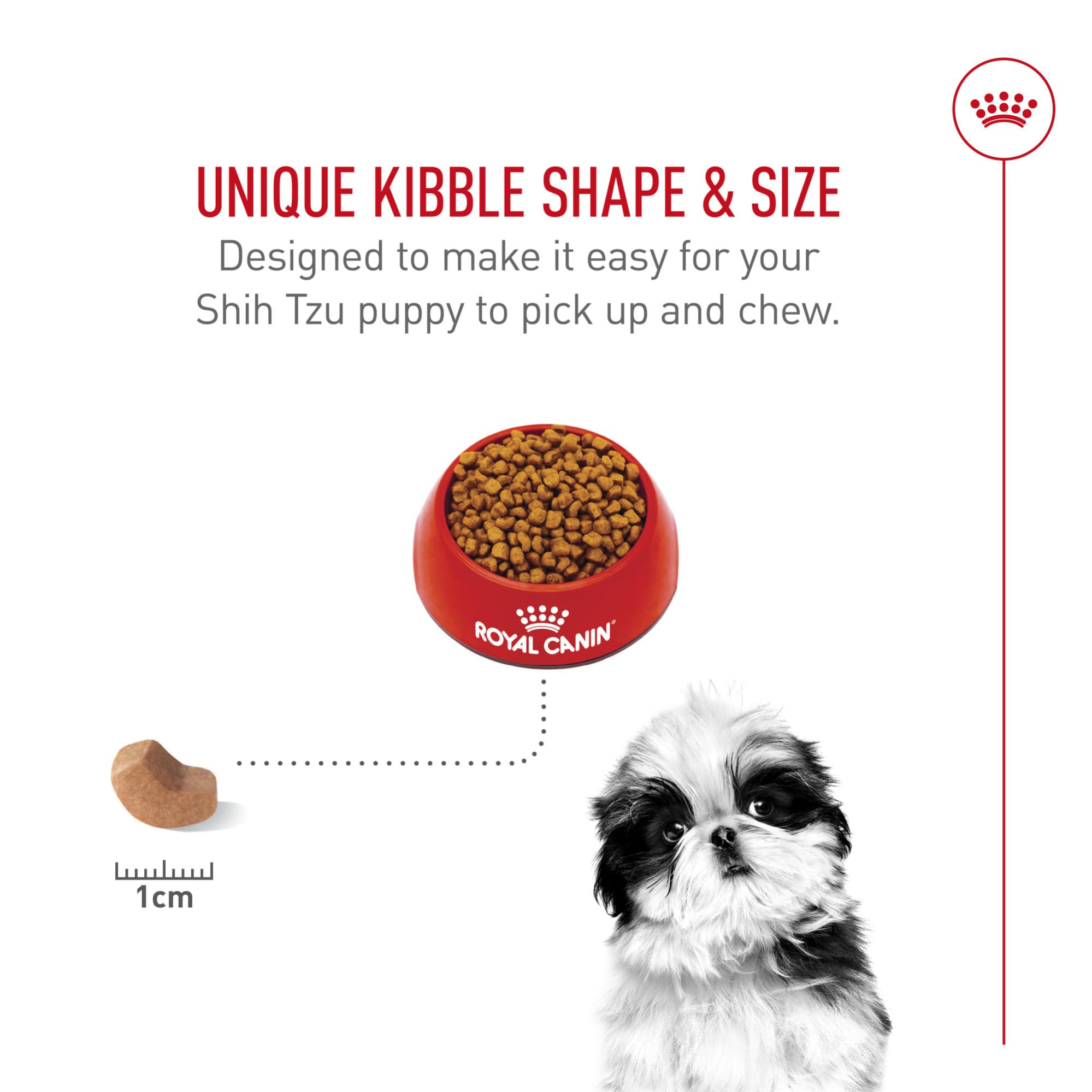 ROYAL CANIN dry food poured into bowl demonstrating serving presentation