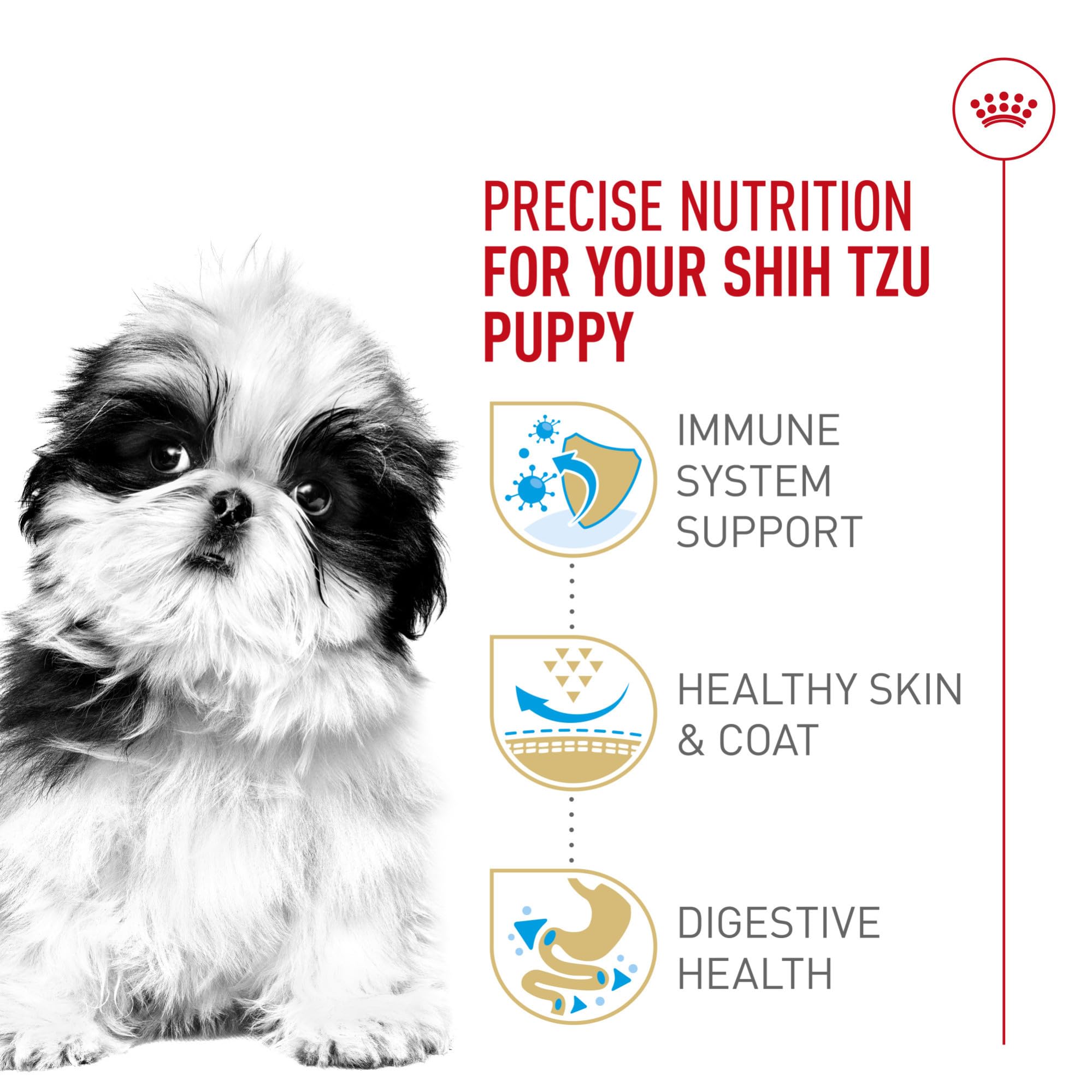 ROYAL CANIN kibble beside coin showing size for short-muzzled mouths