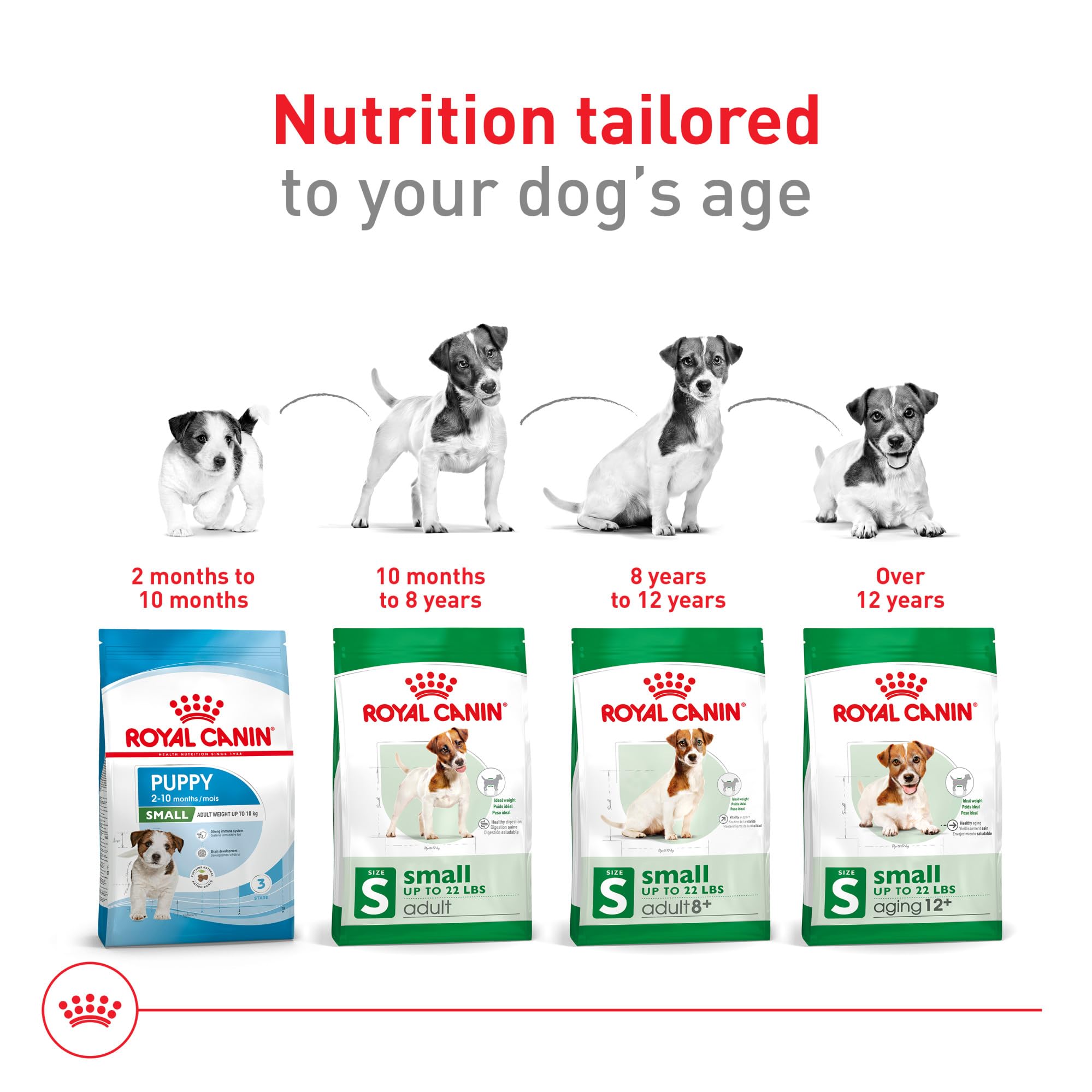 Royal Canin etiqueta nutricional mostrando balance de minerales