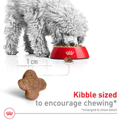 Royal Canin detalle de croqueta para tamaño y fácil masticación