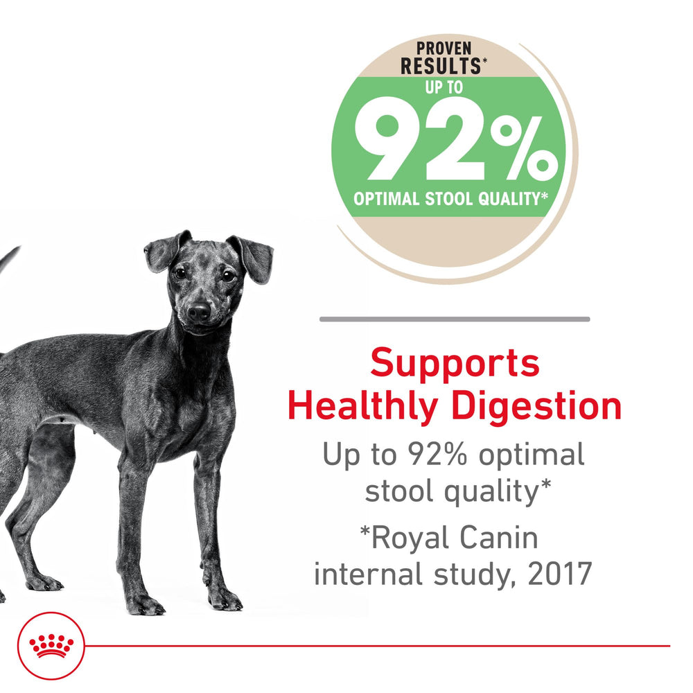 ROYAL CANIN textura del pienso en primer plano, fácil de masticar y digerir