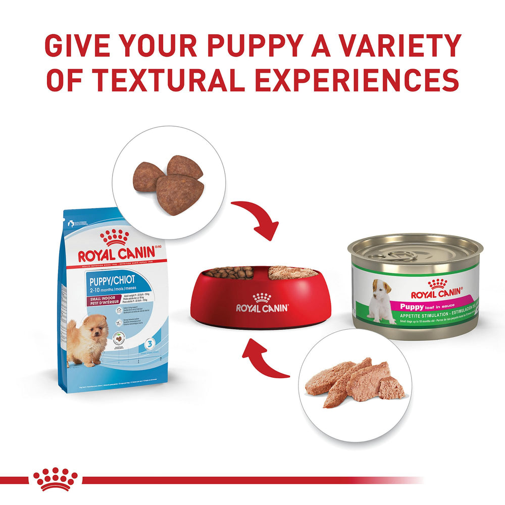 Royal Canin croqueta junto a una mano para mostrar escala y comodidad