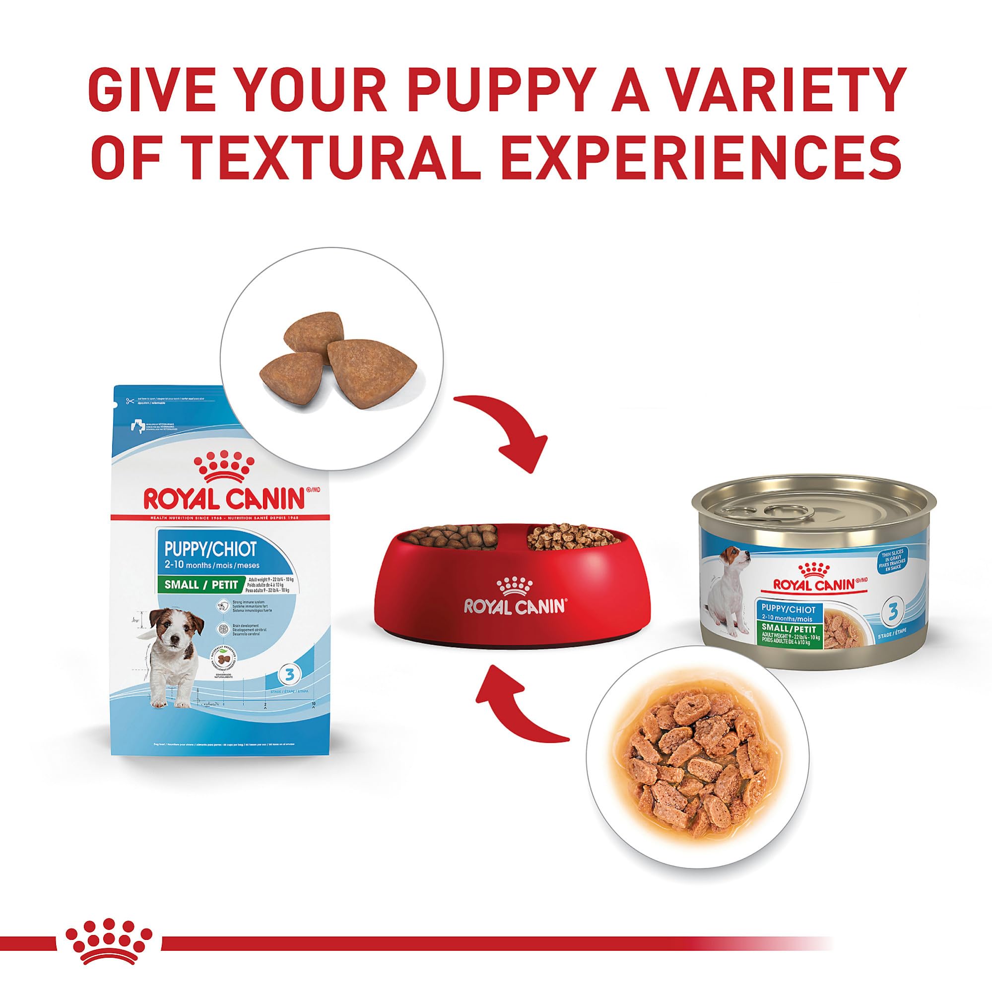ROYAL CANIN cachorro comiendo pienso que favorece crecimiento saludable