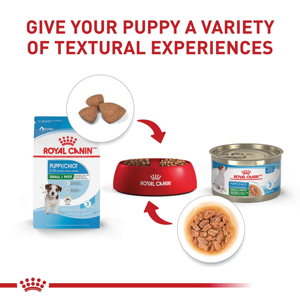ROYAL CANIN cachorro comiendo pienso que favorece crecimiento saludable