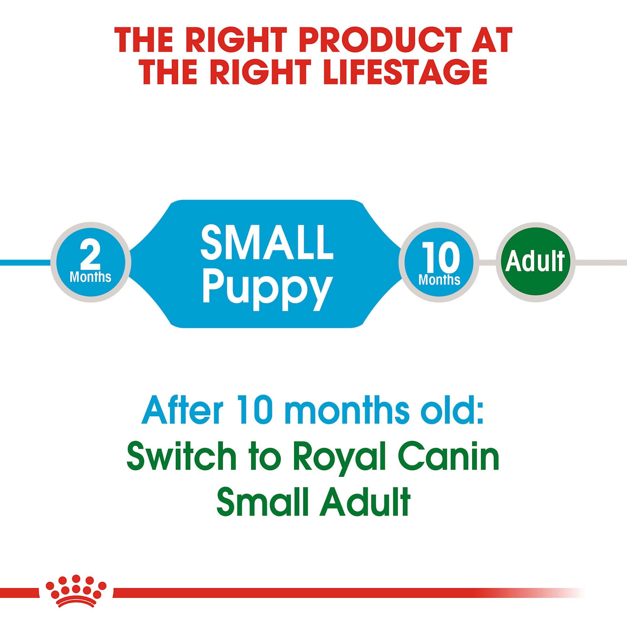 ROYAL CANIN comparación de tamaño de croqueta frente a mano para escala
