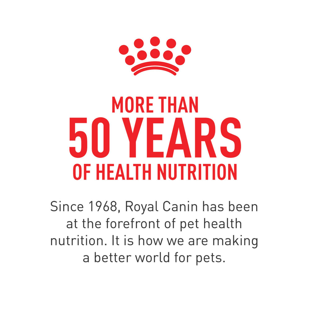 ROYAL CANIN escena hogareña con pienso en cocina y cachorro contento