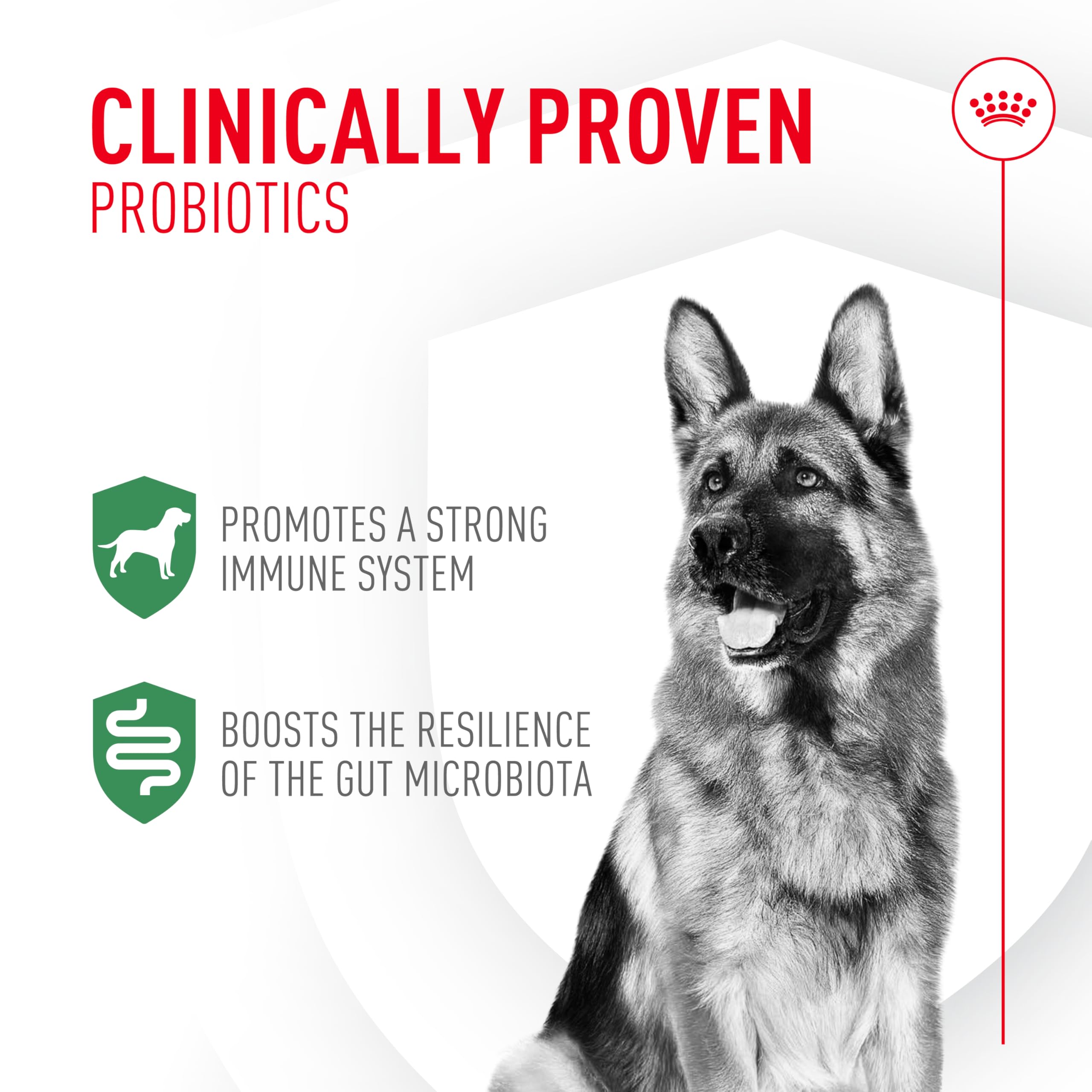 ROYAL CANIN sobre individual abierto listo para espolvorear, administración fácil