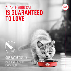 Royal Canin polvo espolvoreado sobre comida húmeda facilitando la aceptación