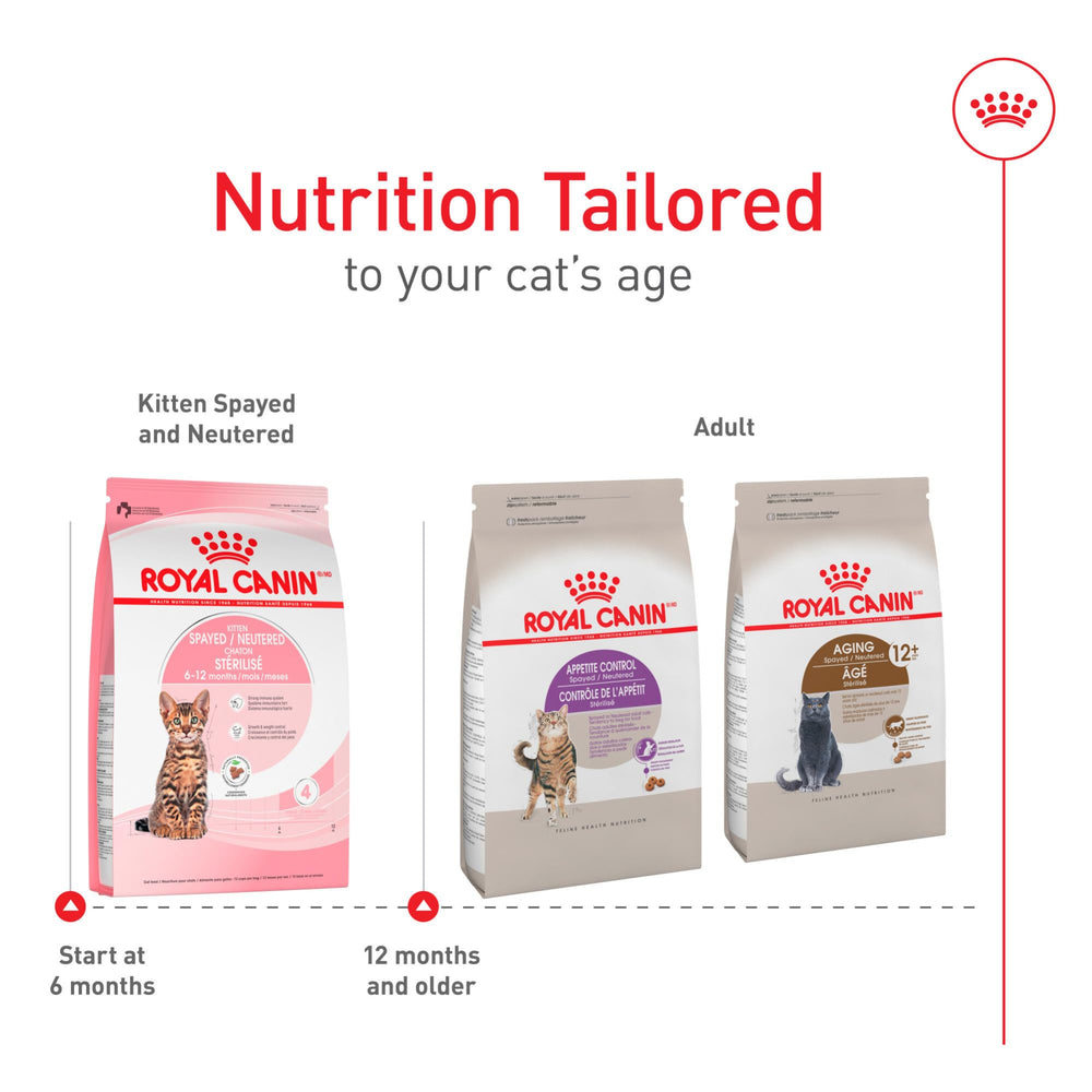 ROYAL CANIN bolsa 2.5 lb junto a objeto para comparar tamaño