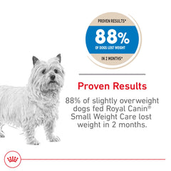 ROYAL CANIN textura de croqueta Close‑up que muestra tamaño y atractivo para masticar