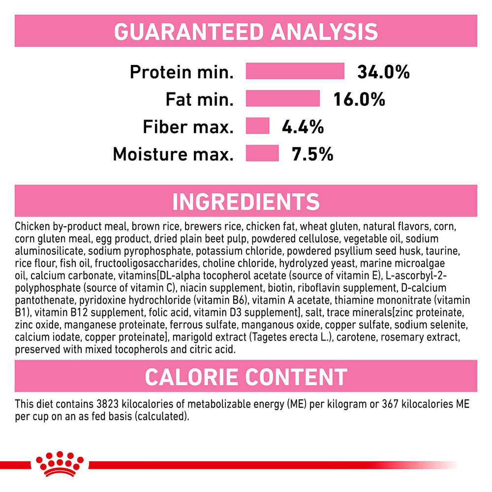 ROYAL CANIN gatito transición madre a Kitten facilitan cambio de dieta