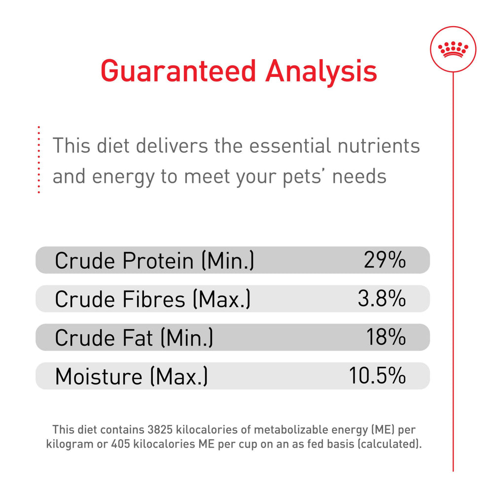 ROYAL CANIN cachorro en ambiente hogareño mostrando salud y energía