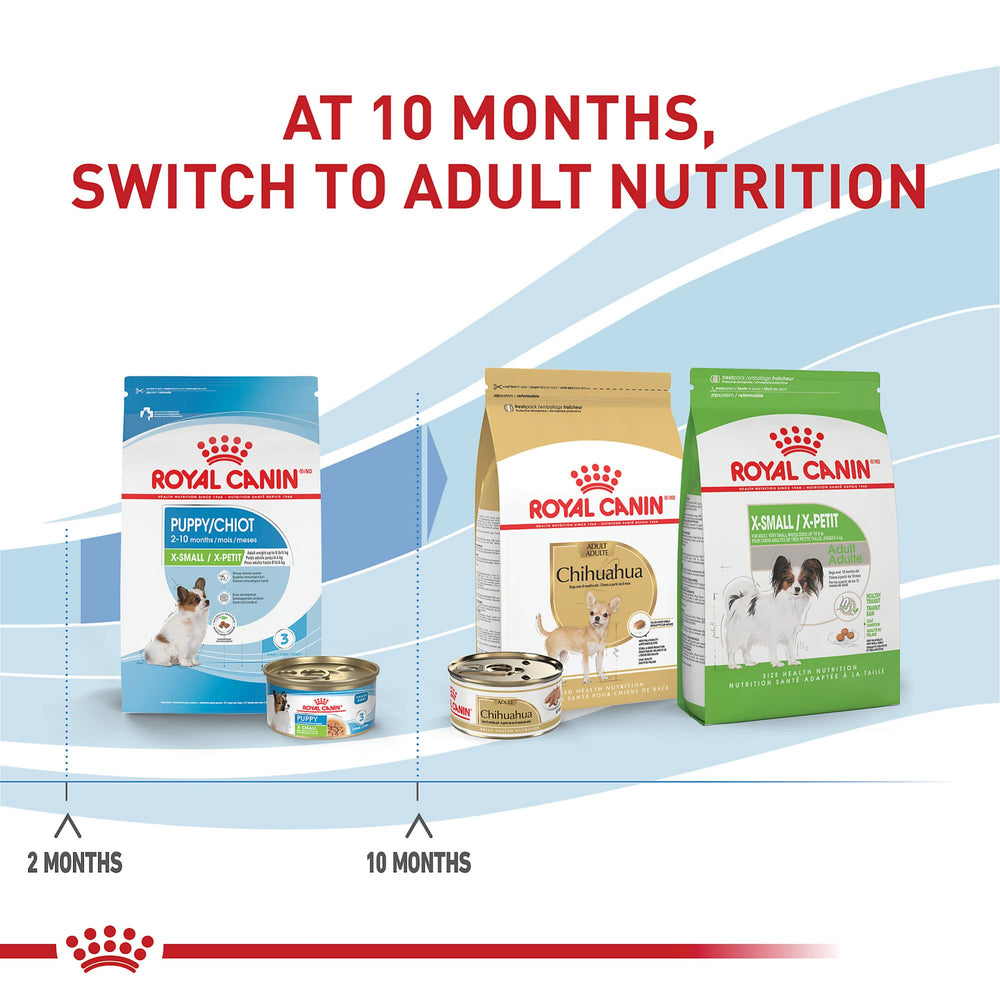 ROYAL CANIN mano sosteniendo croquetas tamaño adecuado para razas toy