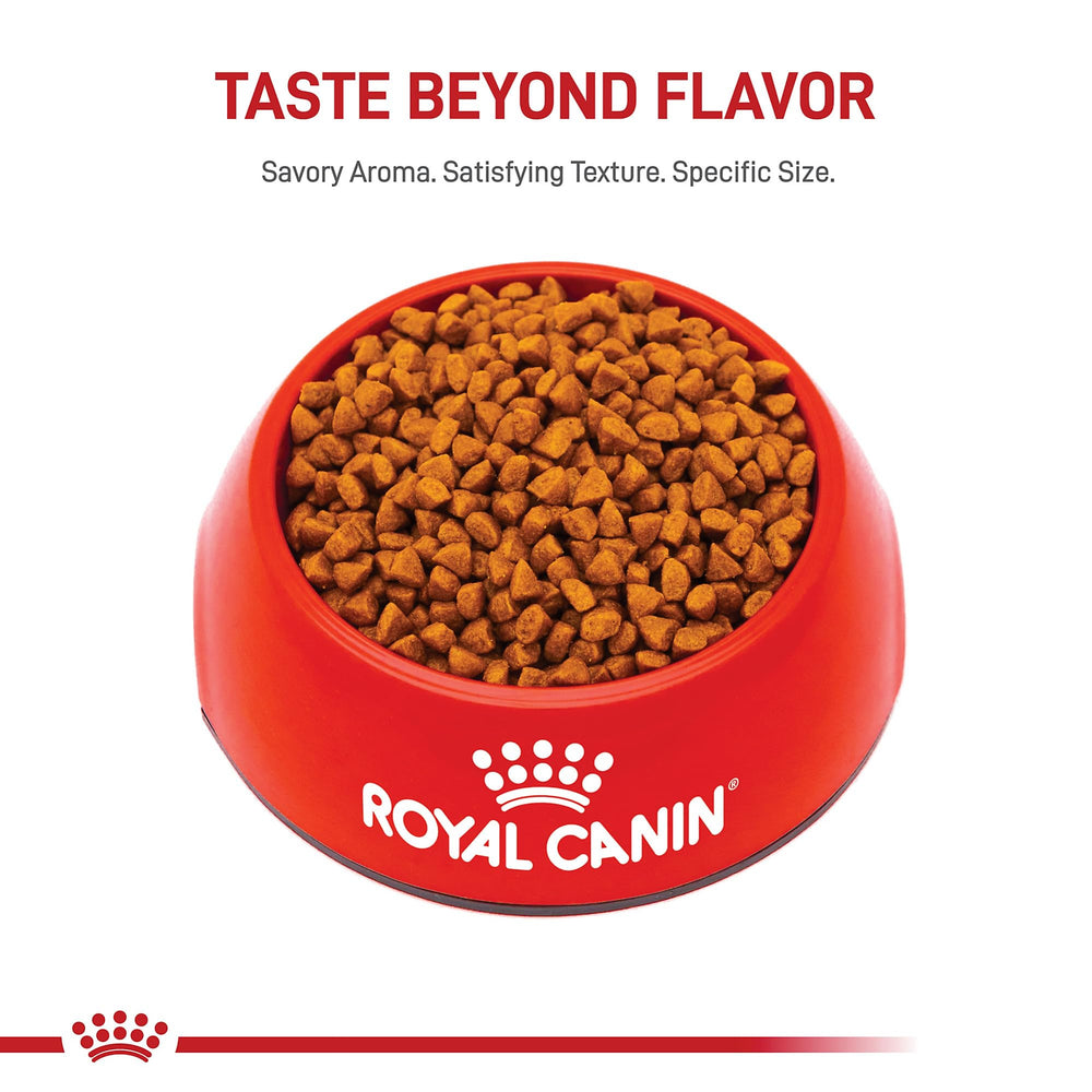 ROYAL CANIN plato con mezcla de seco y húmedo para mayor palatabilidad