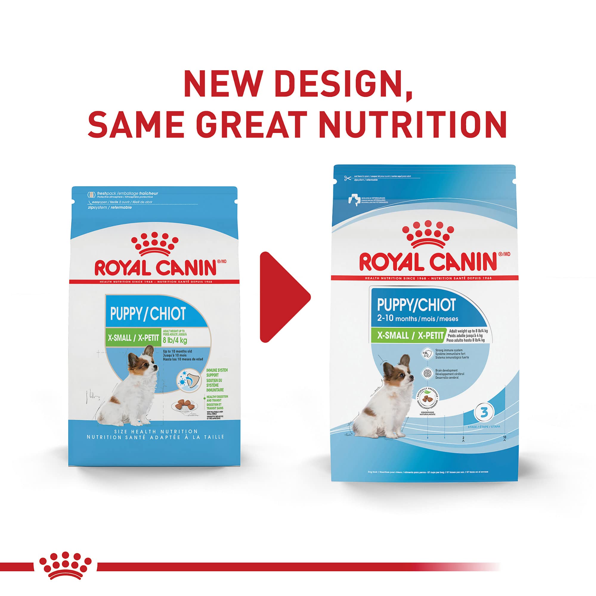 ROYAL CANIN detalle de croqueta pequeña y textura crujiente beneficios masticación
