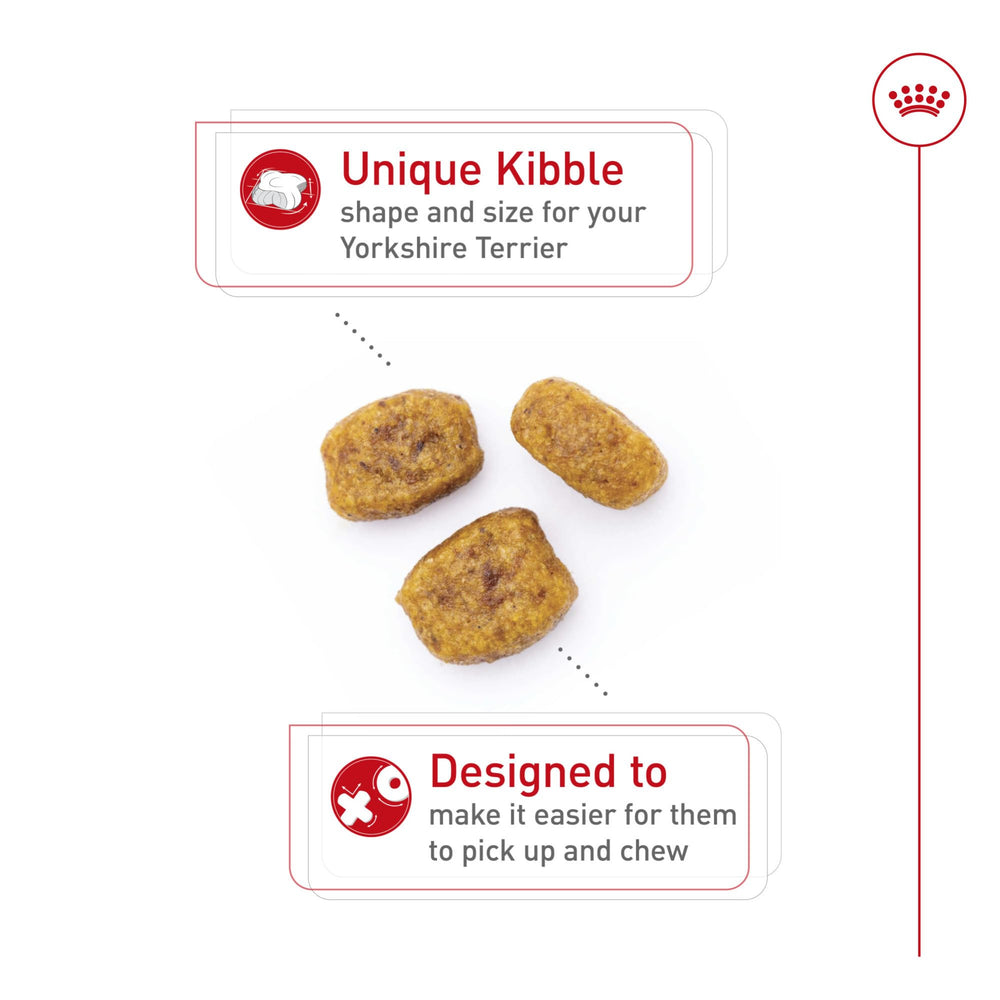 ROYAL CANIN primer plano de la croqueta diseñada para mandíbula pequeña