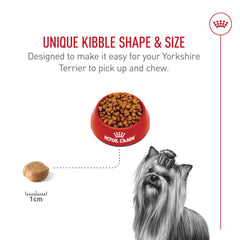ROYAL CANIN Yorkshire comiendo pienso, favorece masticación cómoda