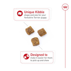 ROYAL CANIN croqueta detalle diseñada para hocicos cortos y fácil masticación