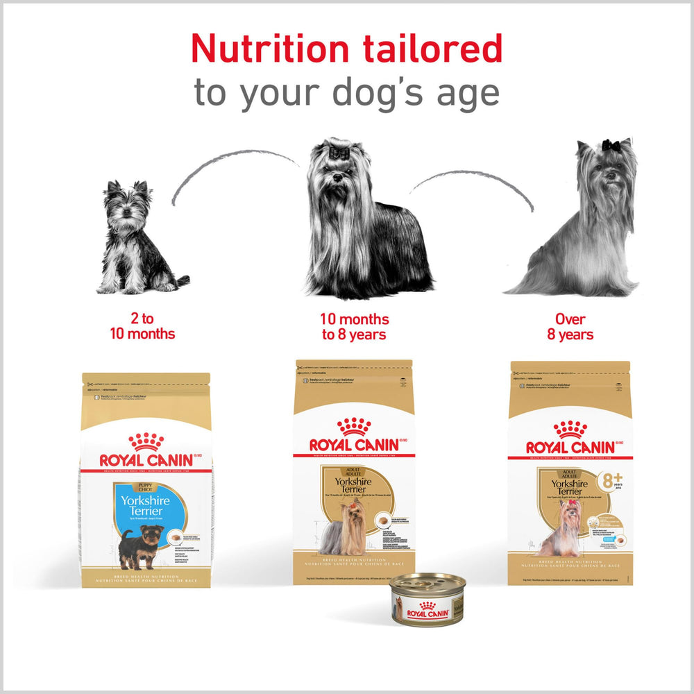 ROYAL CANIN ingredientes servidos en plato que aportan digestión saludable