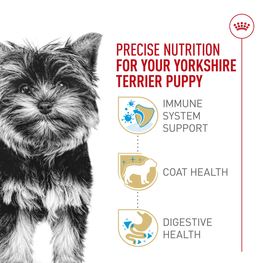 ROYAL CANIN textura de croqueta en mano que facilita toma y mordida
