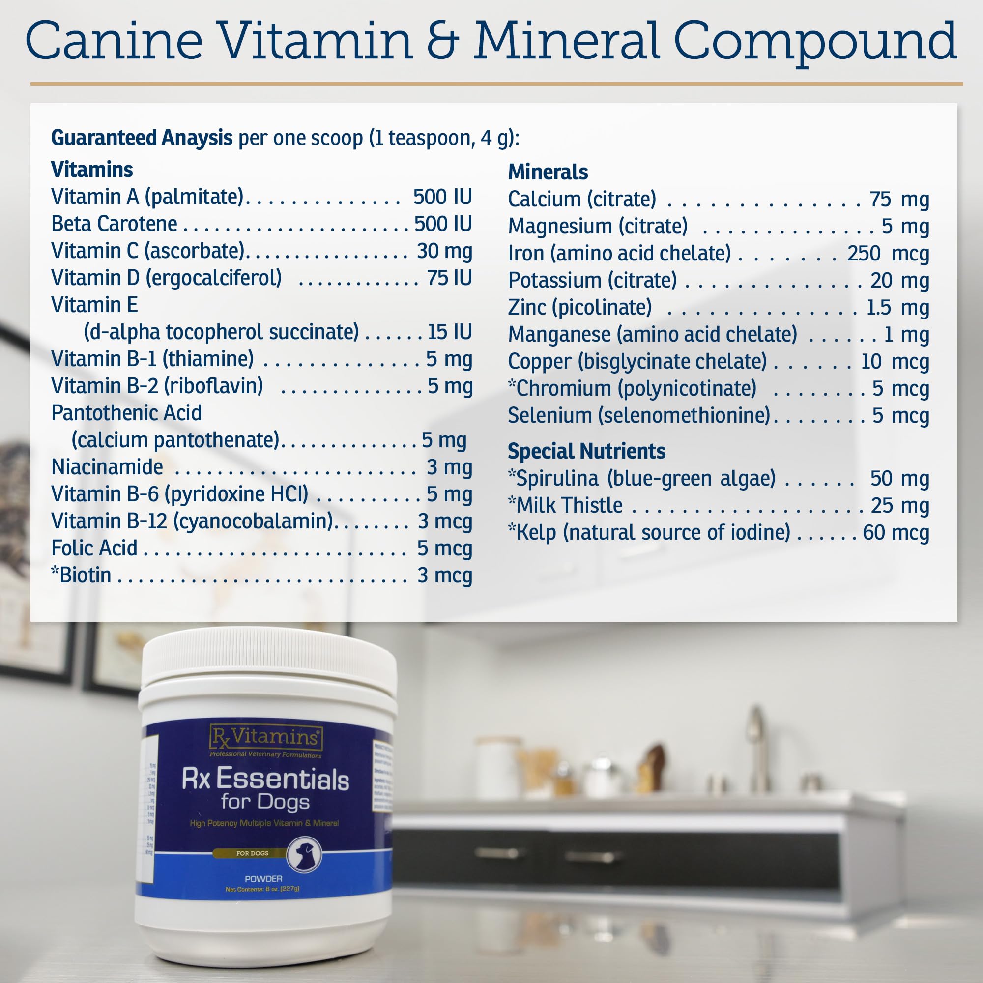 Rx Vitamins perro comiendo comida con suplemento para mejor palatabilidad