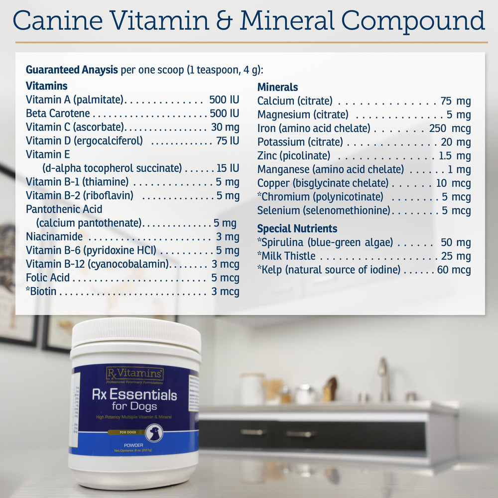 Rx Vitamins perro comiendo comida con suplemento para mejor palatabilidad