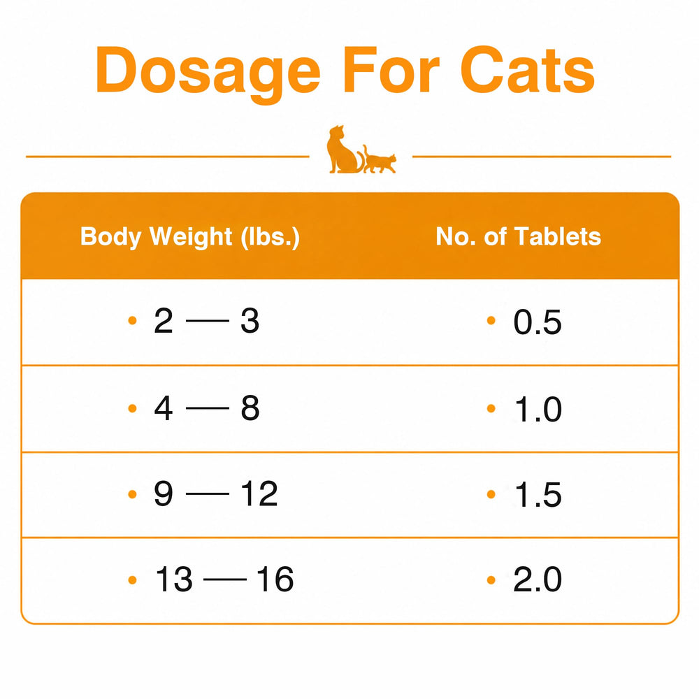 Gato saludable en sala tras tratamiento Salvetra para confort diario