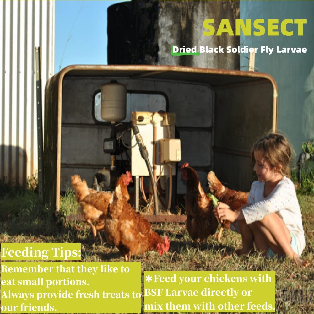 SANSECT en jardín con aves silvestres atraídas, fomenta biodiversidad local