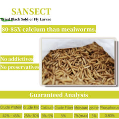 SANSECT primer plano de larvas secas con textura crujiente y aspecto nutritivo