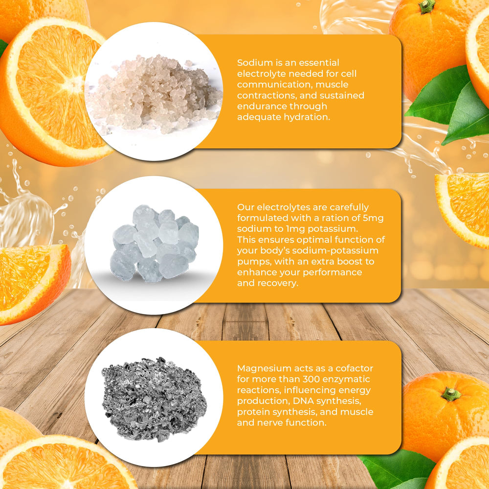 Santa Cruz Paleo scoop of powder demonstrating easy portioning benefit