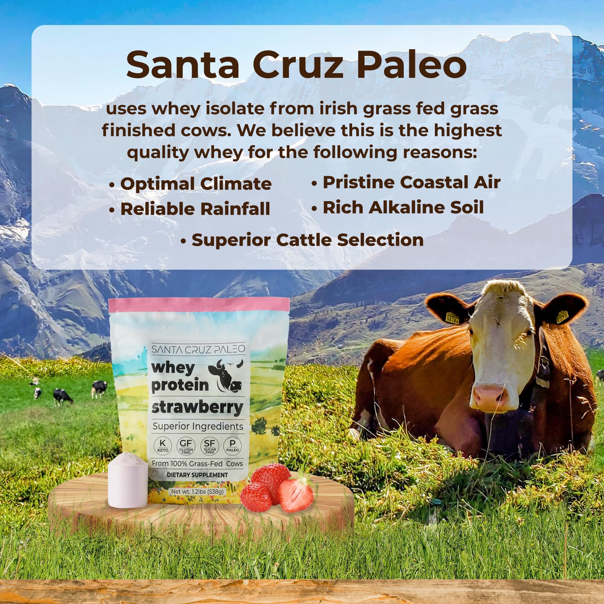 Santa Cruz Paleo polvo de proteína en un bol listo para preparar batidos nutritivos