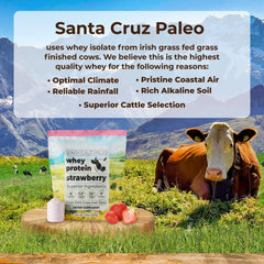 Santa Cruz Paleo polvo de proteína en un bol listo para preparar batidos nutritivos