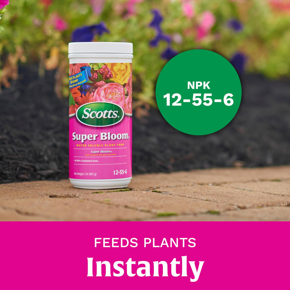 Scotts Super Bloom presentación de 2 lb junto a regla para escala