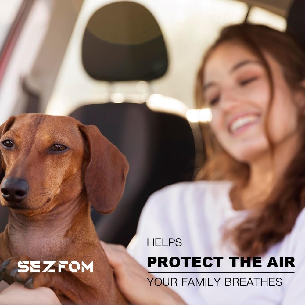 Sezfom filtro en interior de coche, mejora la calidad del aire y confort