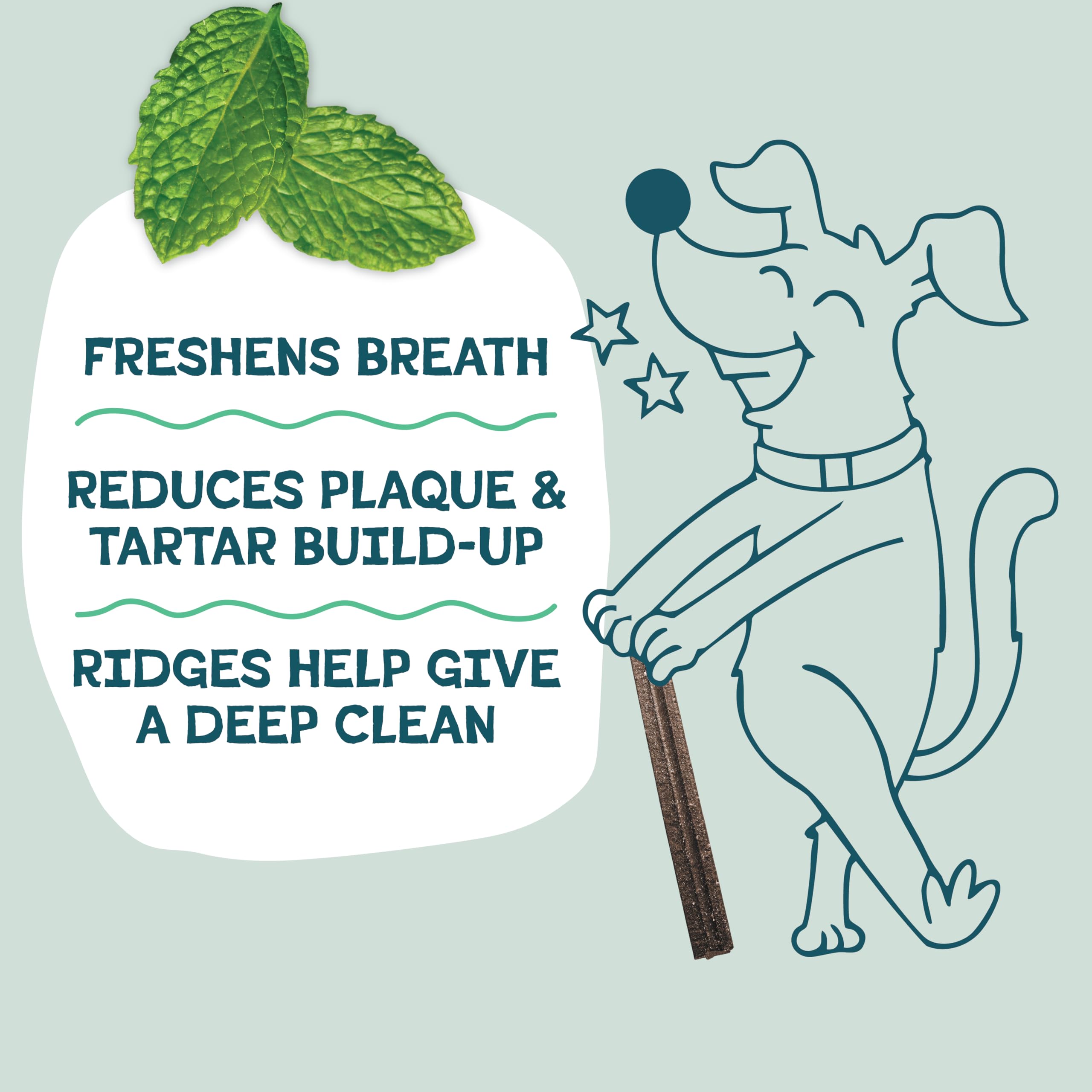 Shameless Pets dental sticks lined up to show shape and chewable ridges benefit