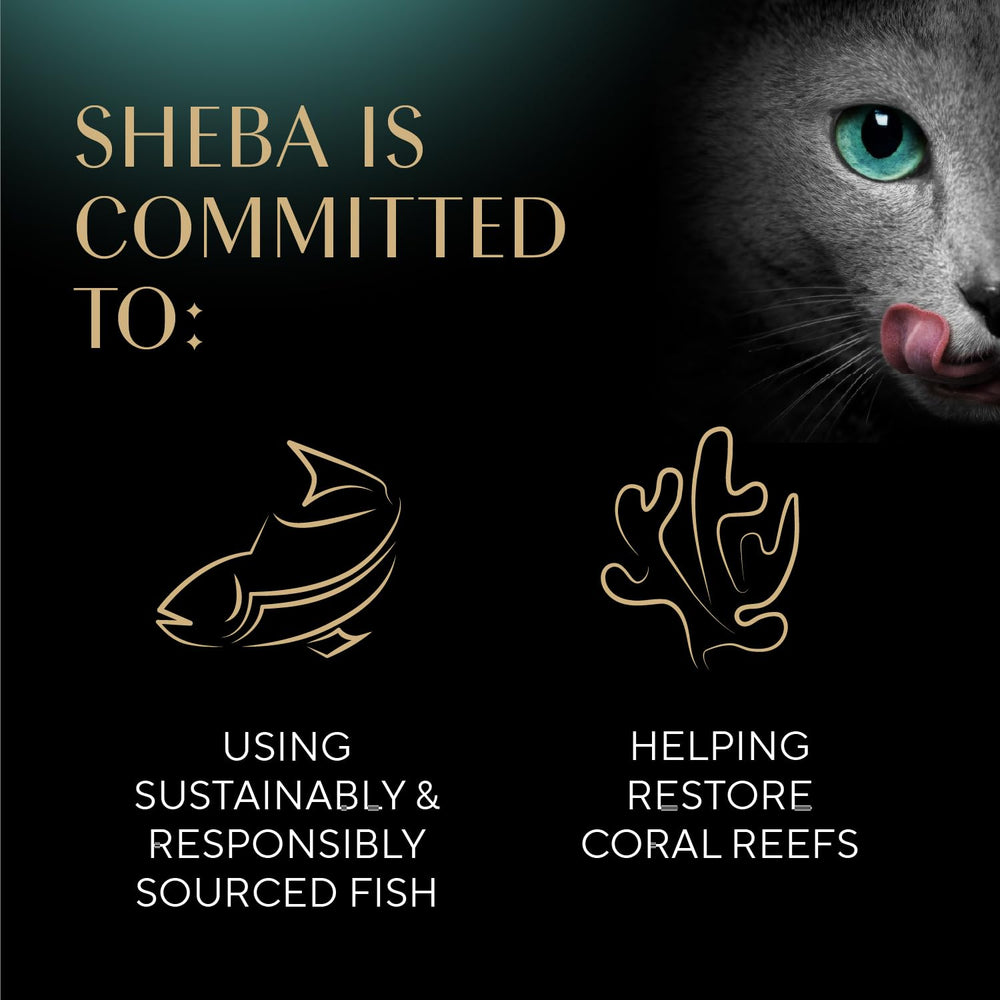 Sheba etiqueta con información nutricional clara y balanceada