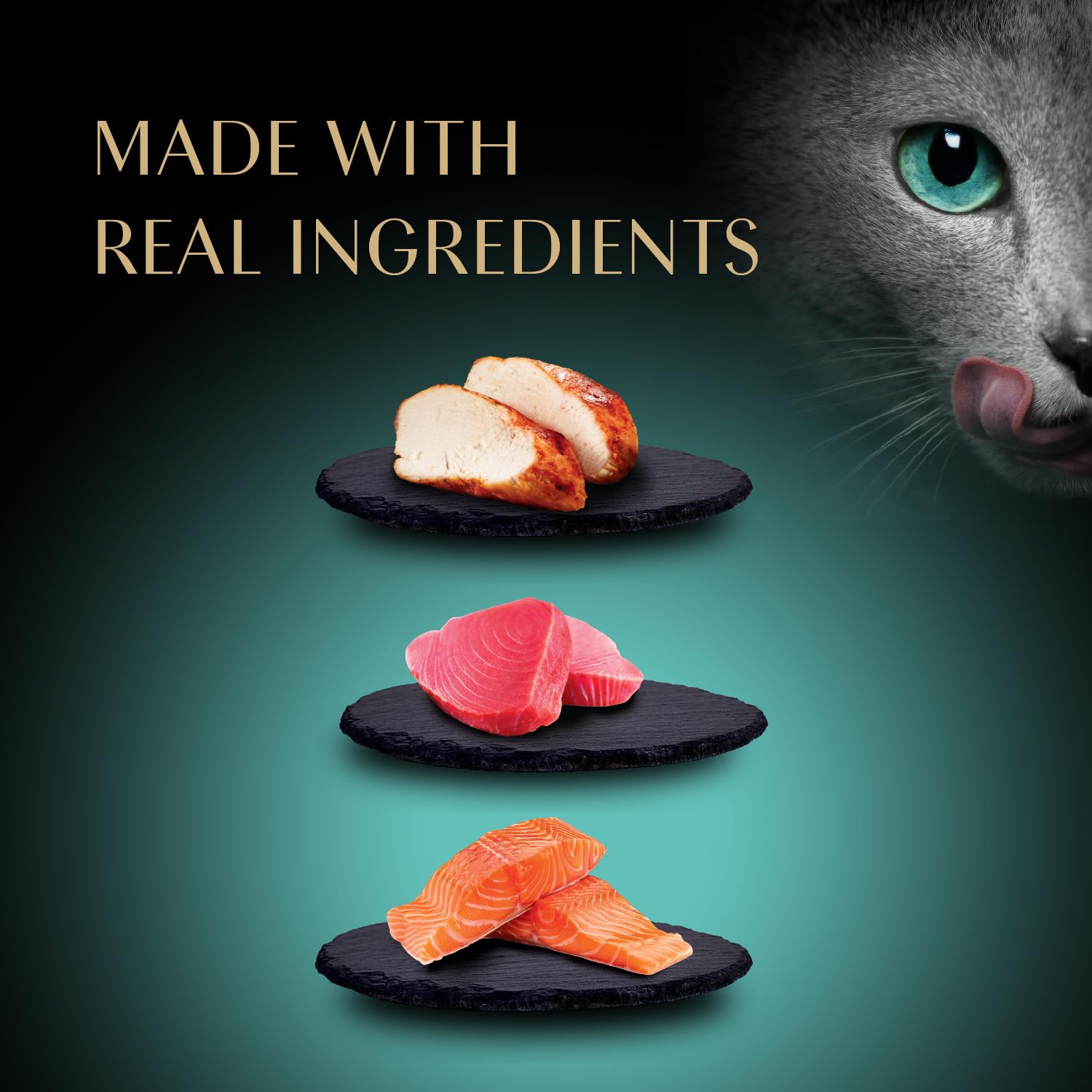 Sheba etiqueta con ingredientes principales clara y centrada en proteína