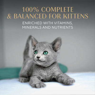 Sheba etiqueta con ingredientes y datos nutricionales visibles y claros