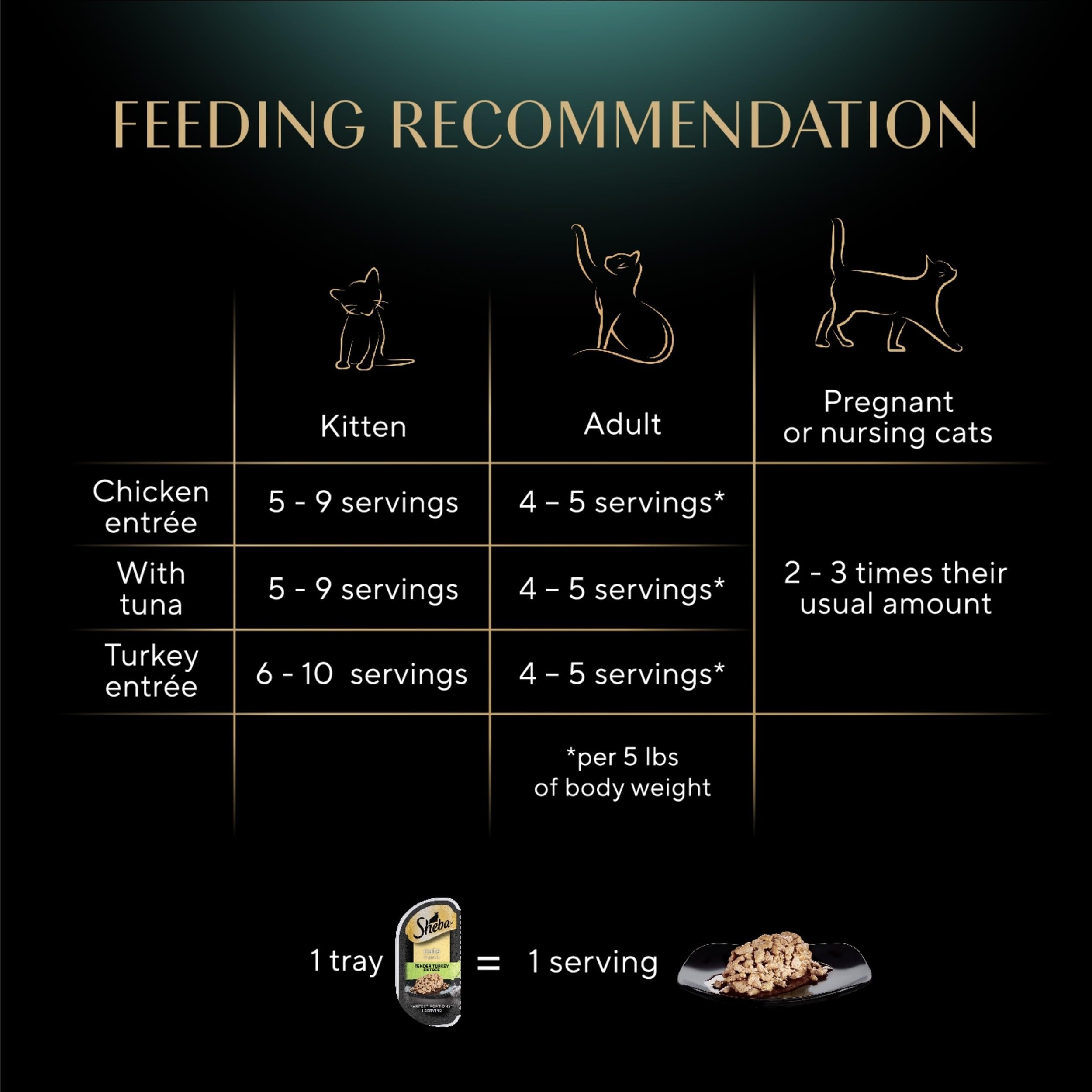 Sheba turkey slice close displaying tender meat for variety