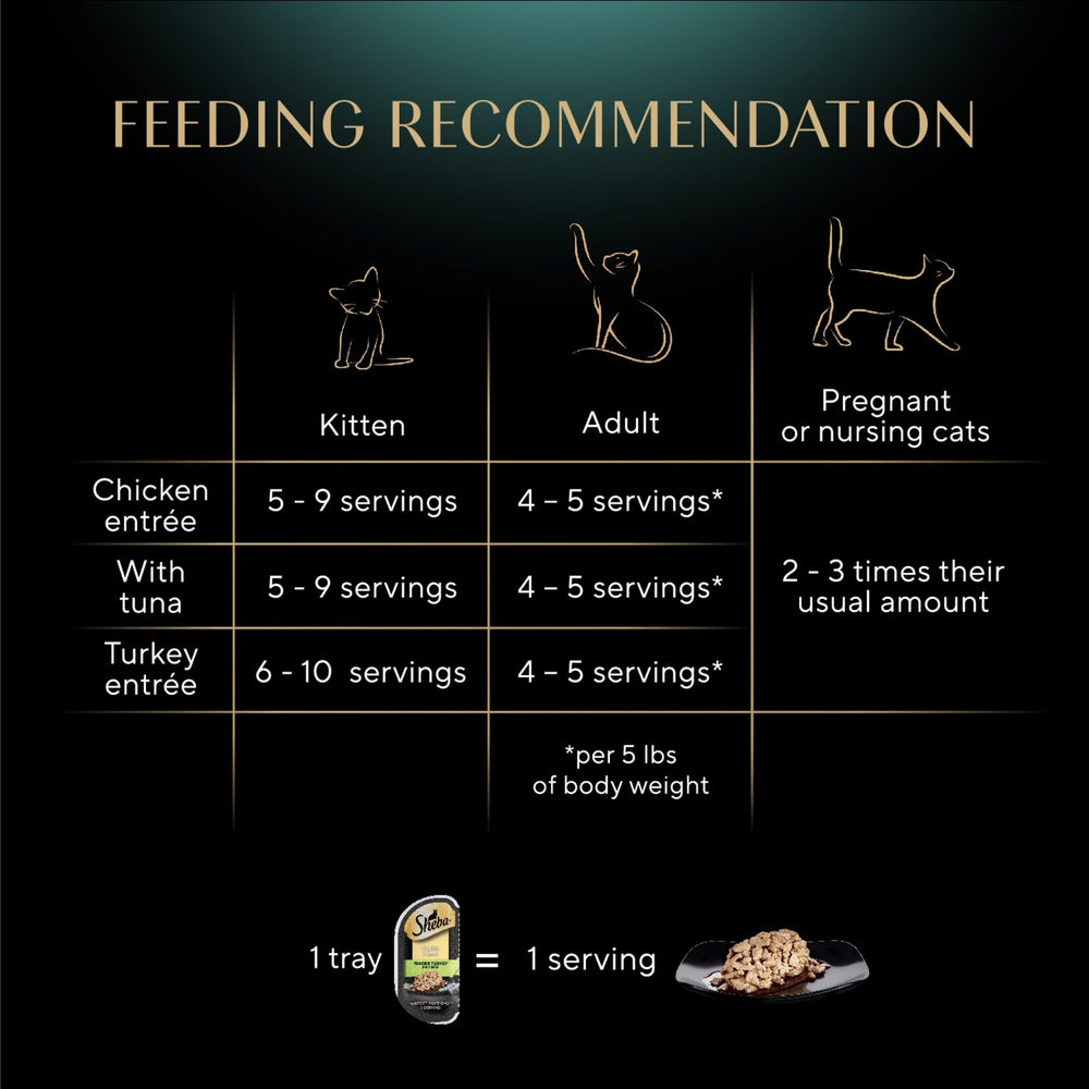 Sheba turkey slice close displaying tender meat for variety
