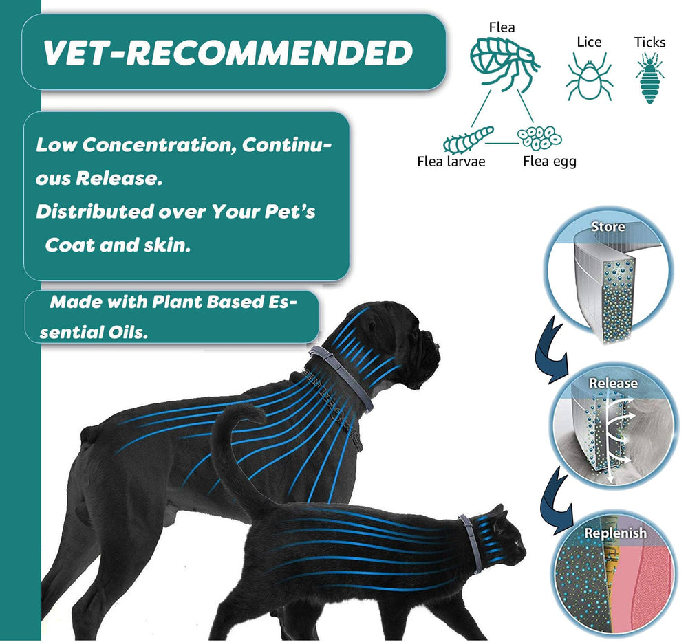 ShengKou collar puesto en gato en exterior protegiendo contra parásitos