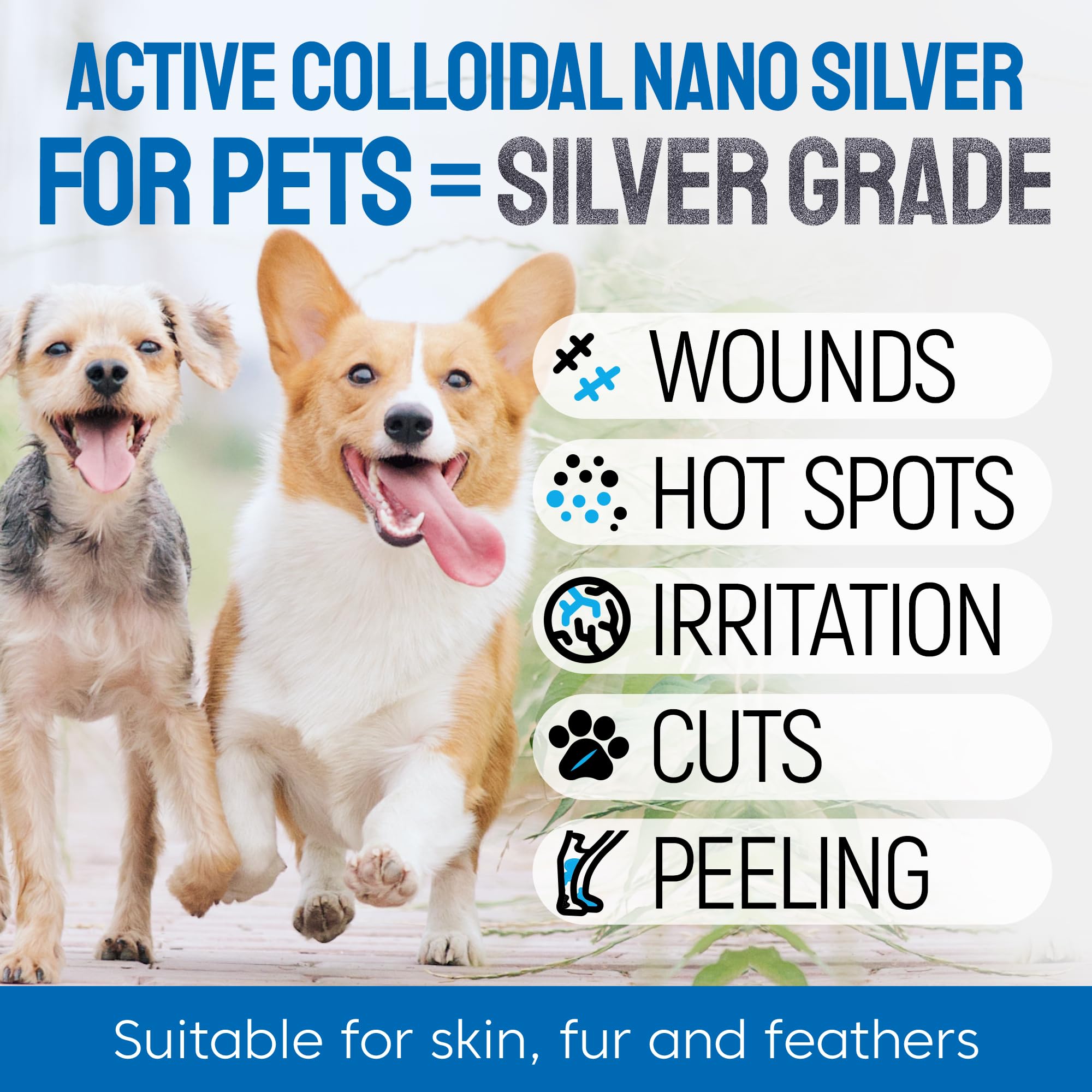 SILVER GRADE primer plano de niebla y textura para absorción rápida