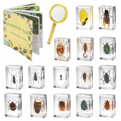SINGEWOW vista frontal del set con 15 insectos para enseñanza