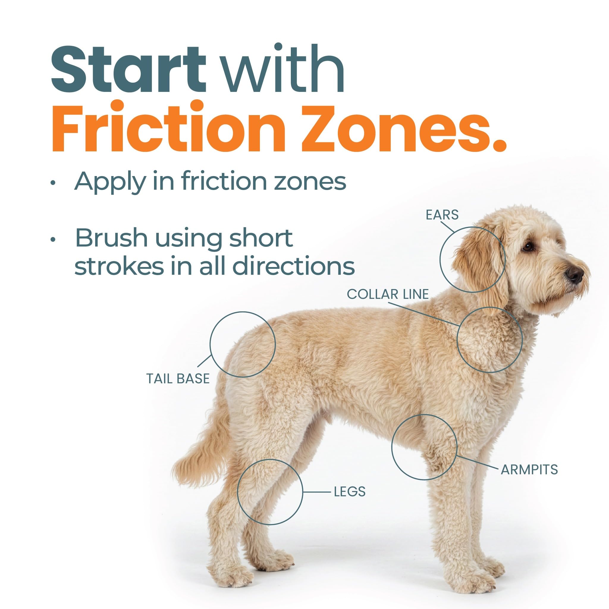 Skip the Groomer perro con manto desenredado tras uso mostrando alivio