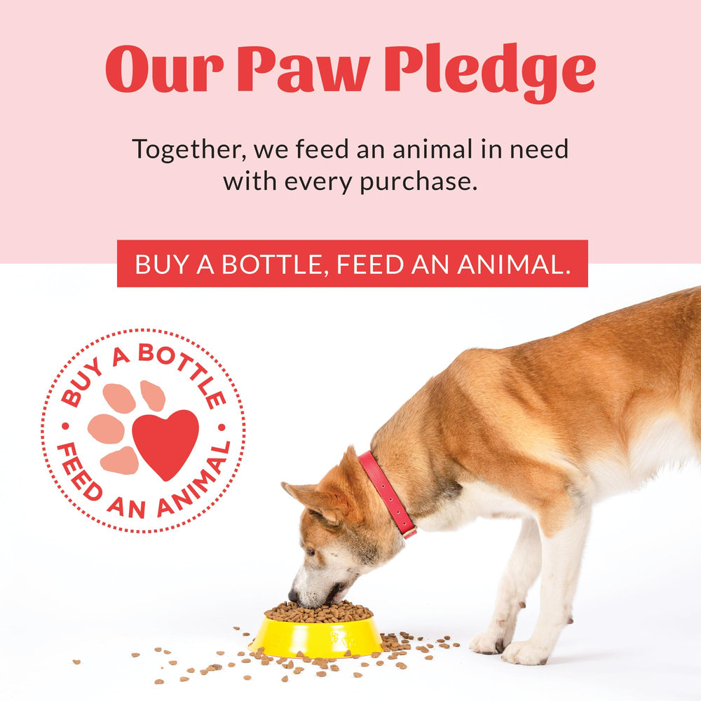 SKOUT'S HONOR cruelty-free badge detail reassuring ethical production